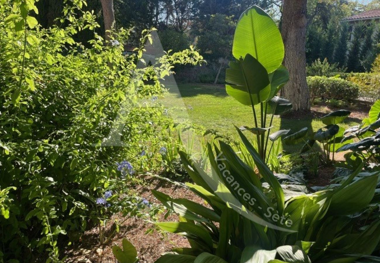 Villa in Sète - 510 / MAISON 10 PERS, PISCINE PRIVEE, WIFI Villa in Sète - 510 / MAISON 10 PERS, PISCINE PRIVEE, WIFI