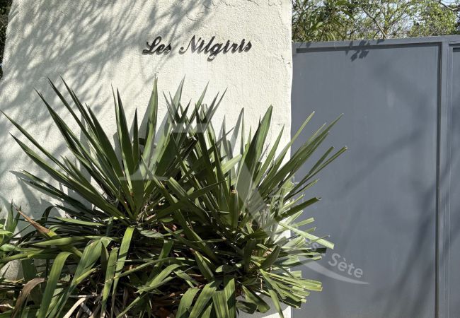 Villa in Sète - 136 / VILLA AVEC VUE + WI-FI SUR LES HAUTEURS  Villa in Sète - 136 / VILLA AVEC VUE + WI-FI SUR LES HAUTEURS