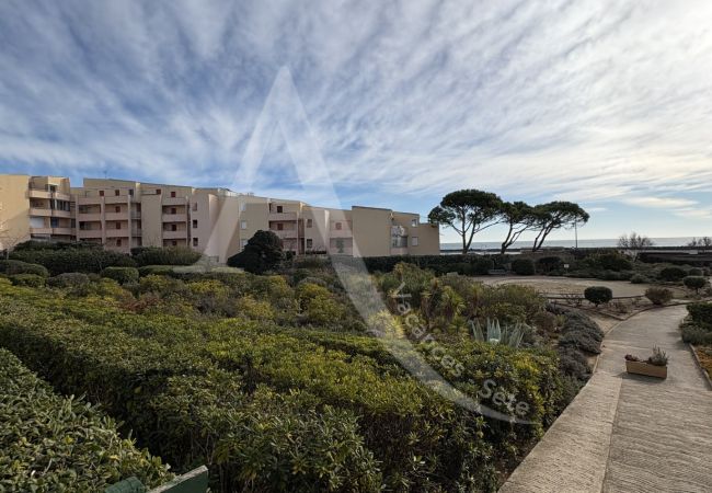 Studio in Sète - 319 / STUDIO VUE MER AVEC PARKING Studio in Sète - 319 / STUDIO VUE MER AVEC PARKING