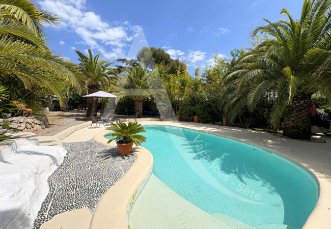 Villa en Sète - 061 / VILLA CLIMATISEE PISCINE PRIVEE ET WI-FI