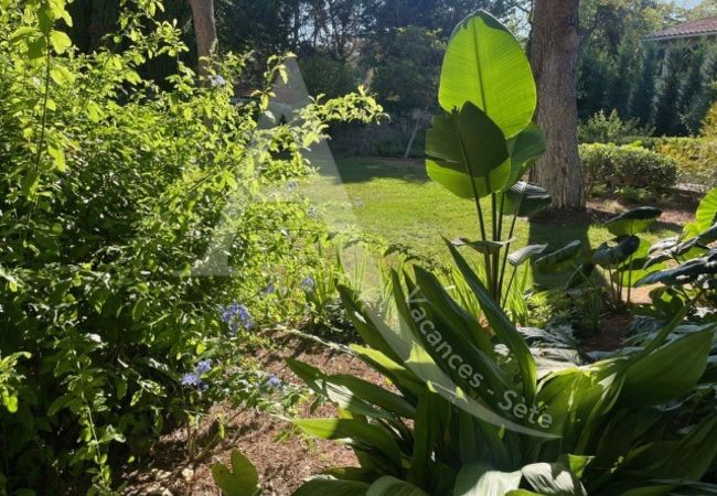 Villa en Sète - 510 / MAISON 10 PERS, PISCINE PRIVEE, WIFI Villa en Sète - 510 / MAISON 10 PERS, PISCINE PRIVEE, WIFI