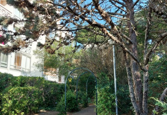 Appartement à Sète - 231 / T2 AVEC PARKING ET PISCINE Appartement à Sète - 231 / T2 AVEC PARKING ET PISCINE