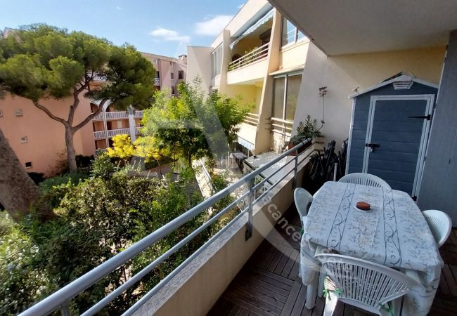 Appartement à Sète - 110 / GRAND T2 AVEC PARKING ET WI-FI Appartement à Sète - 110 / GRAND T2 AVEC PARKING ET WI-FI
